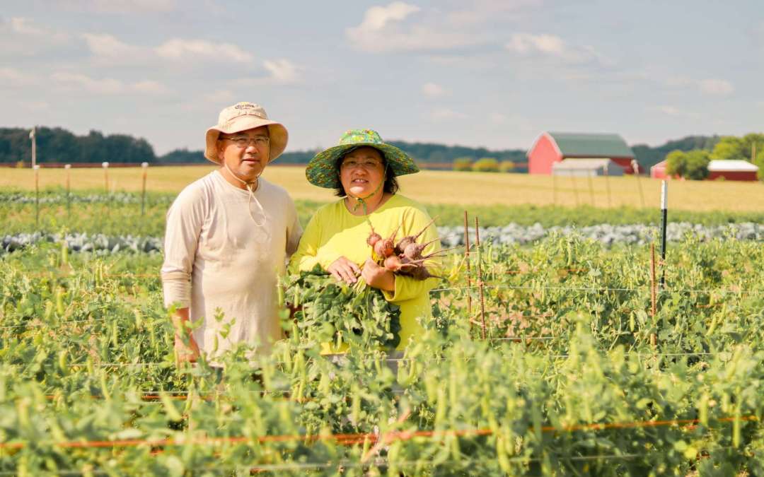 Harvest Box Program Brings Fresh Wisconsin Produce to Local Seniors