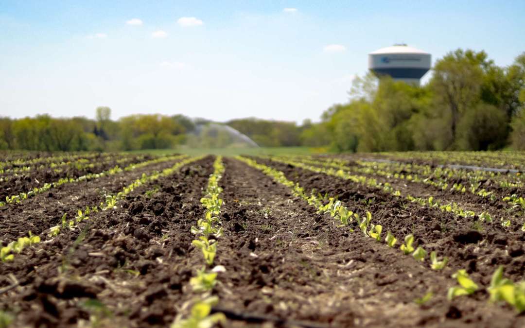 Drought, Determination, and Dignity: How The Farm Overcame a Dry Season to Feed the Hungry