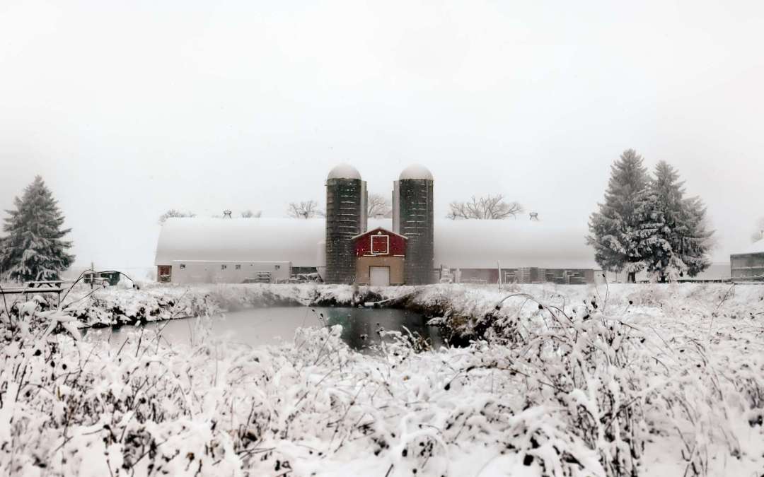 Winter at The Farm: A Season of Planning and Preparation