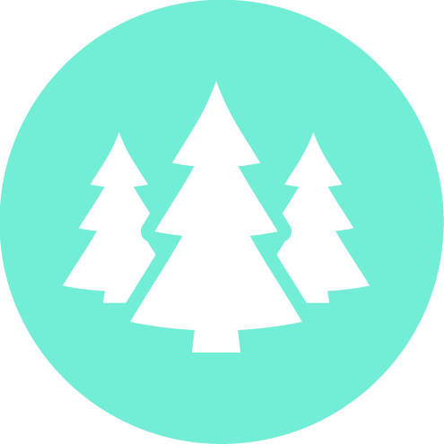 2025-Summer-Meals-icon-01