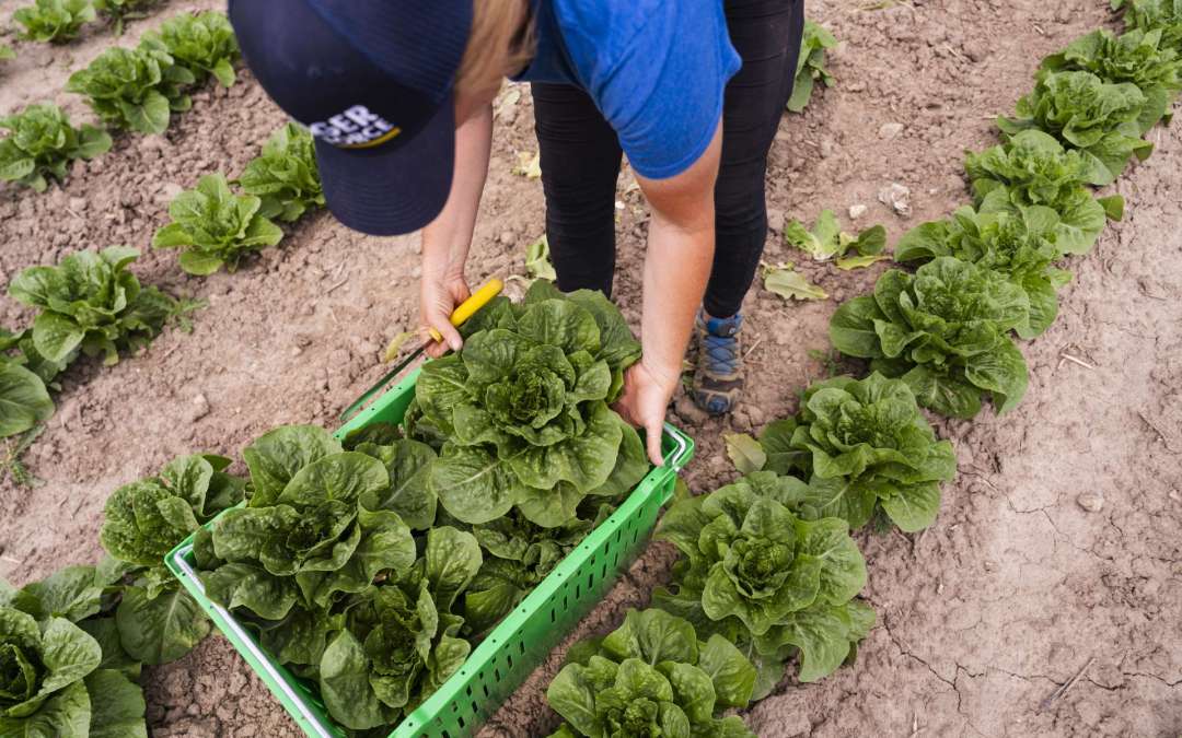 2025 Farm Season Wrap Up