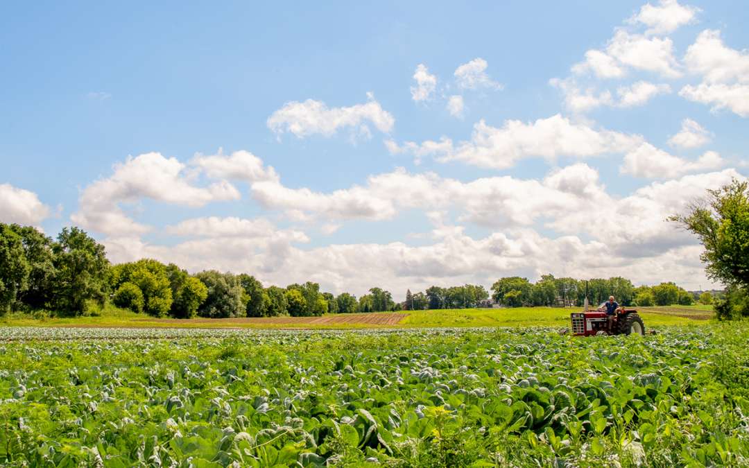 2025 Farm Season Wrap Up