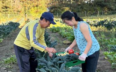 New Hunger Task Force program aims to stabilize both pantry shelves and farm revenue