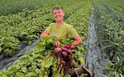 Hunger Task Force’s Connecting Farms to Families Program Ensures a Steady Market for Fresh Produce from Orange Cat Community Farm